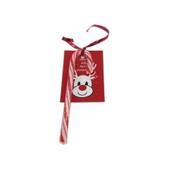 Personalised Candy Canes with Card