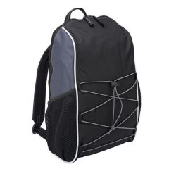 Sprinter Corporate Backpack