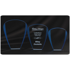 Promotional Engraved Award Trophy