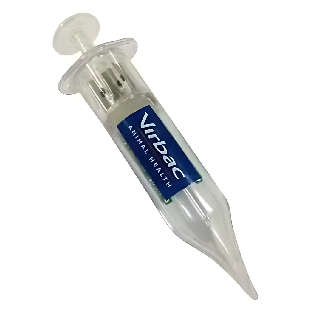 Virbac Animal Healths transparent plastic Syringe Flash Drive.