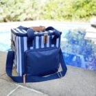 A striped cooler bag with a blue handle sits on a stone surface by a pool. The bag features a front pocket and leather zipper pulls, with lush greenery and water reflections in the background.
