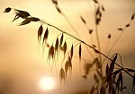 sun-blog