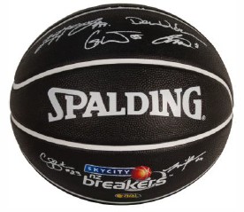 Logo Printed Basketballs Size 5