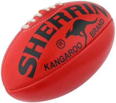 Printed Mini Sherrin Footballs 20cm