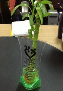thumb_bamboo-vase-082013-209x300