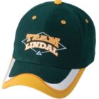 A green baseball cap with yellow and white accents. The front has Team Lindal embroidered in yellow letters.