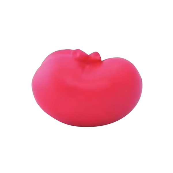 A cheerful, red, tomato-shaped rubber toy akin to the Cheap Stress Balls - Kidney is displayed against a white background.
