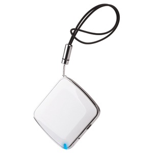 Logo Printed Power Bank