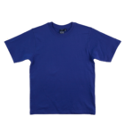 The Premium Kids Promotional T-Shirt is plain, short-sleeved, and royal blue with a round neckline. Its displayed against a white background and offers an unadorned design that blends comfort and understated style.