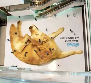 outdoor-advertisement-2014