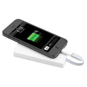 Corporate Branded Power Bank
