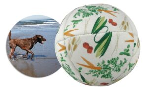 Pet Toy Ball