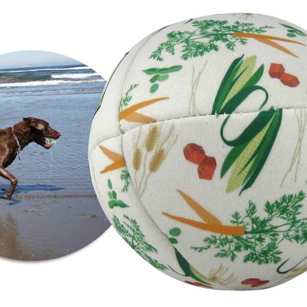 Pet Toy Ball