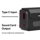 Close-up of a black electronic device showing a Type C input and sound card output. The Type C input is labeled as a flexible mainstream interface, and the sound card output is labeled for connecting to high power audio equipment.