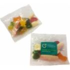 Two small clear bags containing assorted colorful gummy candies on a white background.