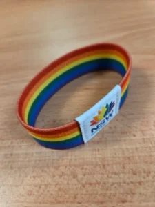wristband 1