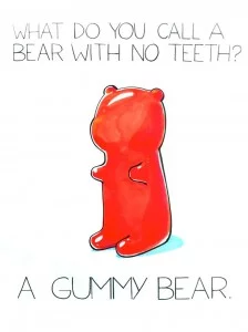 funny-bear-224x300
