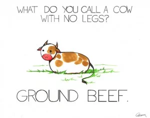 funny-cow-300x235