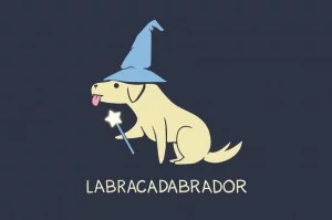 funny-labrador-300x199