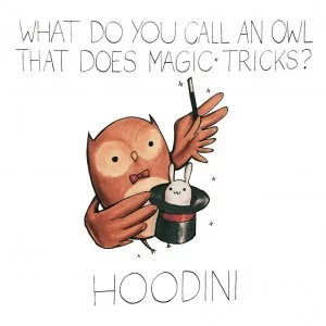funny-owl-300x300
