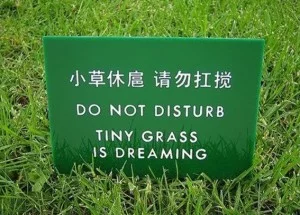 Keep-off-the-grass-300x215