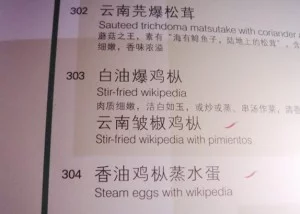 Stir-Fried-Wikipedia-300x214
