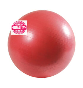 Brandable Fitness Ball