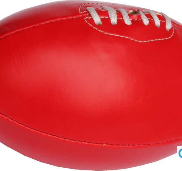 Promo Blow-Up Football - LARGE
