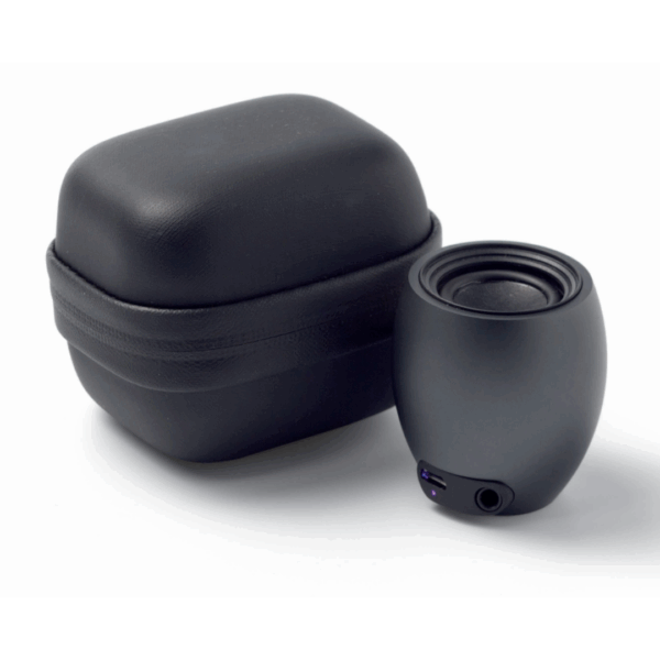 Intense Bluetooth Speaker in black next to its closed carrying case on a white background.