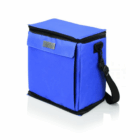 Gel Panel 12 Can Cooler: blue, insulated, black strap & zipper, fits 12 cans.