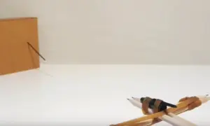 promo-slingshot-in-action