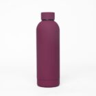 A maroon reusable water bottle with a screw-on lid on a white background.