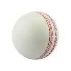 A white cricket ball with red stitching on a plain white background.