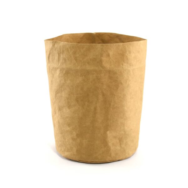 A plain, empty brown paper bag standing upright on a white background.