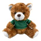 A brown teddy bear wearing a green shirt, sitting on a white background.