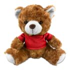 A brown teddy bear wearing a red shirt sits facing forward on a white background.