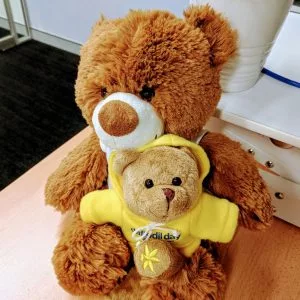 promotional-plush-bears-sep19-300x300