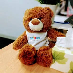 teddy-bears-sep19b-300x300