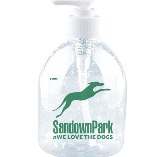 Large 500ml Custom Printed Hand Sanitizers