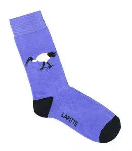 why-choose-socks-261x300