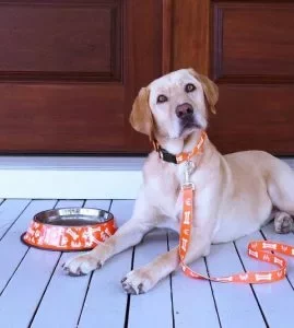 whataburger-branded-pet-food-bowl-dog-leash