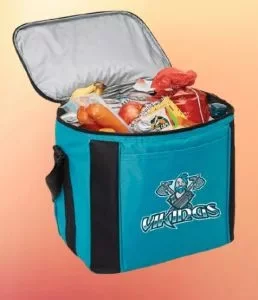 custom-promotional-cooler-bag