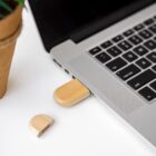 Wooden USB drive plugged into a laptop, next to a plant in a brown pot on a white surface.