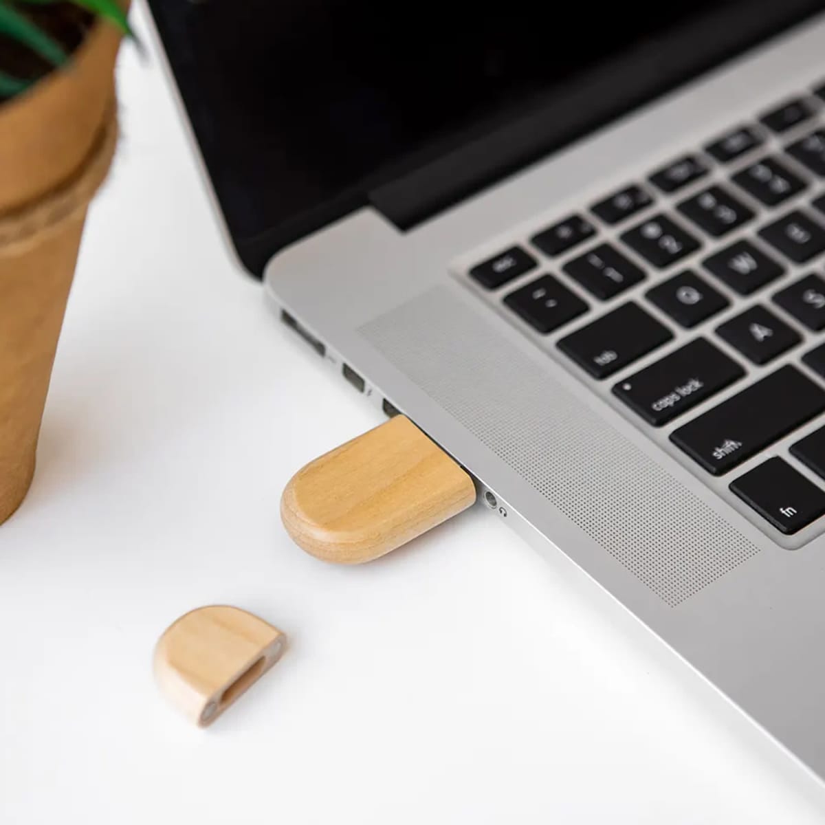Wooden USB drive plugged into a laptop, next to a plant in a brown pot on a white surface.
