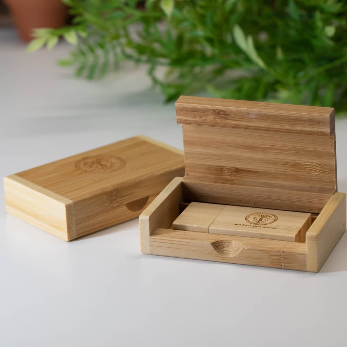 Two wooden USB flash drives in open and closed bamboo boxes on a white surface with plants.