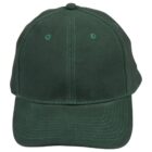 A green baseball cap with visible stitching is shown from the front. The cap has a curved brim and ventilation holes on the crown.