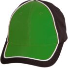 A green baseball cap with a black brim and sides, featuring white piping along the edges. The cap has ventilation holes on the top.