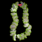 A Flashing Flower Lei with green and white blooms on a black backdrop.