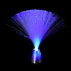 Lamp with Screw Fibre Optics glowing against a black backdrop.