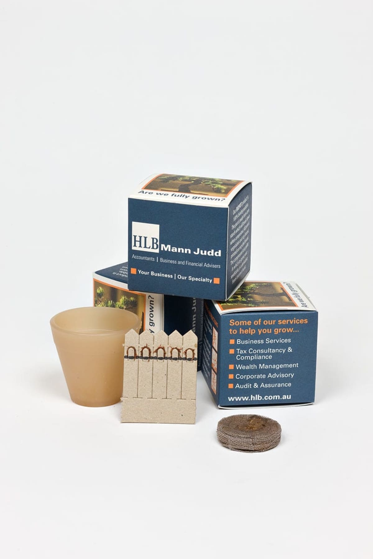 Small plant growing kit with HLB Mann Judd branding. Includes a biodegradable pot, coir disc, seed packet, and two boxes providing business and financial advisory service details.